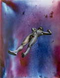 Acrilico/Oleo       146 x 114 cm       1989