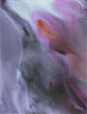 Acrilico/Oleo       100 x 81 cm       1996