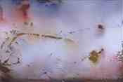 Acrilico       195 x 130 cm       1991