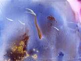 Acrlico/Oleo       116 x 89 cm       1992