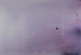 Acr�lico/Oleo,      130 x 89 cm      1.992