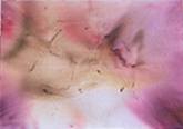 Acrilico       162 x 114 cm       1996