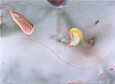 Acrilico/Oleo       100 x 73 cm       1997