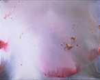 Acrilico      100 x 81 cm       1997
