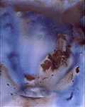Acrilico       100 x 81 cm       1995