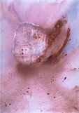 Acrilico       100 x 73 cm       1996