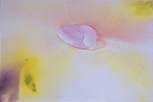 Acrilico       116 x 97 cm       1996