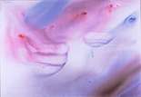 Acrilico       162 x 114 cm       1997