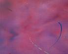 Acr�lico/Oleo,      100 x 81 cm      1.989