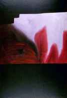 Acrilico 162 x 114 cm 1984