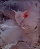 Acrilico 100 x 81 cm 1987