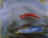 Acrilico/Oleo       100 x 81 cm       1996