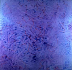 Papel Acrilico/Pastel 116 x 114 cm 1996